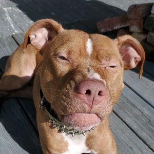 Meet your Posher, Kevin